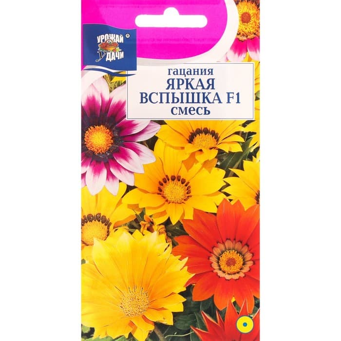 Семена цветов Гацания «Яркая вспышка», гибрид, F1, для балкона, веранды, цветника, однолетник, низкорослая0.01 г