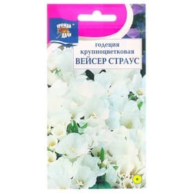 Семена цветов Годеция крупноцветковая «Вейсер Страус», 0.1 г