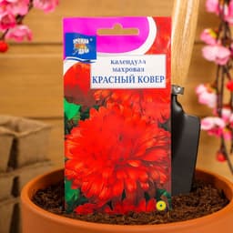 Семена цветов Календула махровая «Красный ковёр», 0.3 г, «Урожай удачи»
