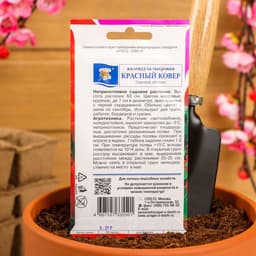 Семена цветов Календула махровая «Красный ковёр», 0.3 г, «Урожай удачи»