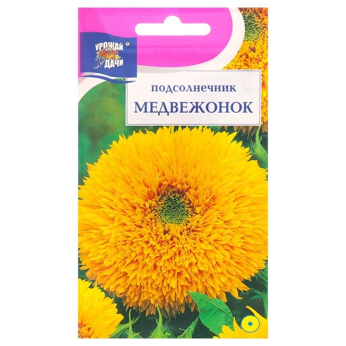 Семена цветов подсолнечник «Медвежонок», 0.5 г