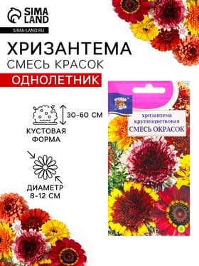 Семена Цветов Хризантема многолетняя «Смесь окрасок», крупноцветковая, 0.02 г, «Урожай удачи»