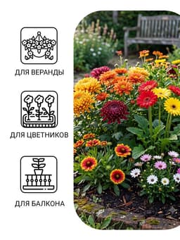 Семена Цветов Хризантема многолетняя «Смесь окрасок», крупноцветковая, 0.02 г, «Урожай удачи»