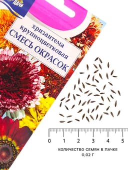 Семена Цветов Хризантема многолетняя «Смесь окрасок», крупноцветковая, 0.02 г, «Урожай удачи»