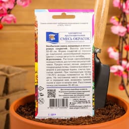 Семена Цветов Хризантема многолетняя «Смесь окрасок», крупноцветковая, 0.02 г, «Урожай удачи»