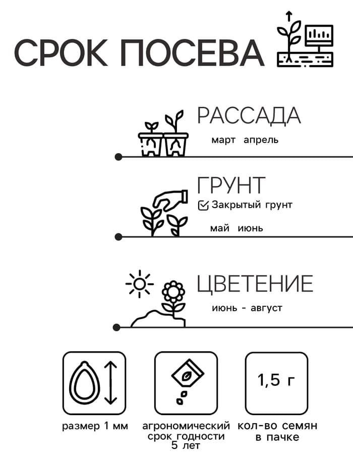 Семена Цветов Настурция «Вишневая Роза», 1.5 г, «Русский огород»