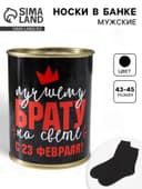 Носки мужские в банке «Лучшему брату, С 23 Февраля», подарочные, чёрные, 43-45 р-р