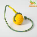 Мяч из EVA, 7 см, на верёвке, для дрессировки, жёлтый