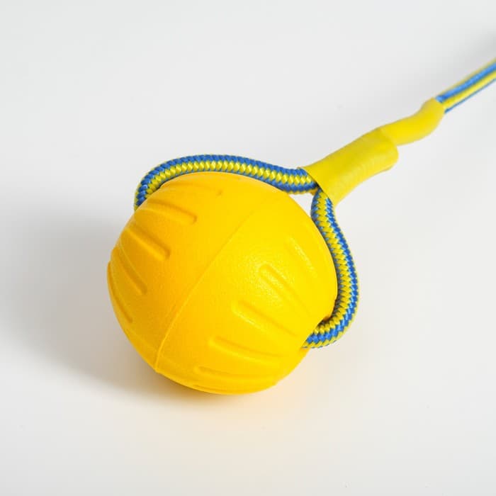 Мяч из EVA, 7 см, на верёвке, для дрессировки, жёлтый