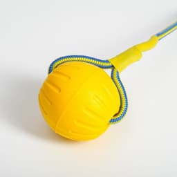 Мяч из EVA, 7 см, на верёвке, для дрессировки, жёлтый