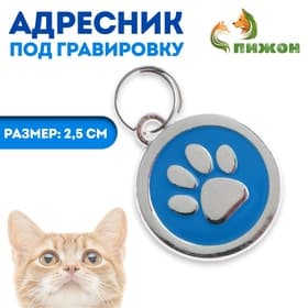 Адресник под гравировку «Лапа», 2.5 см, металл, голубой