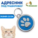 Адресник под гравировку «Лапа», 2.5 см, металл, голубой
