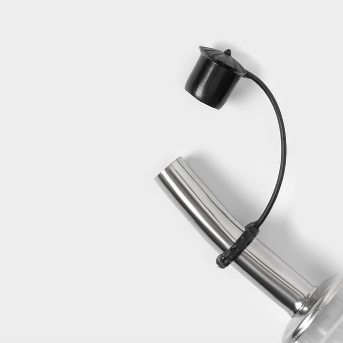 Гейзер для бутылки Доляна «Ресто», 10 см