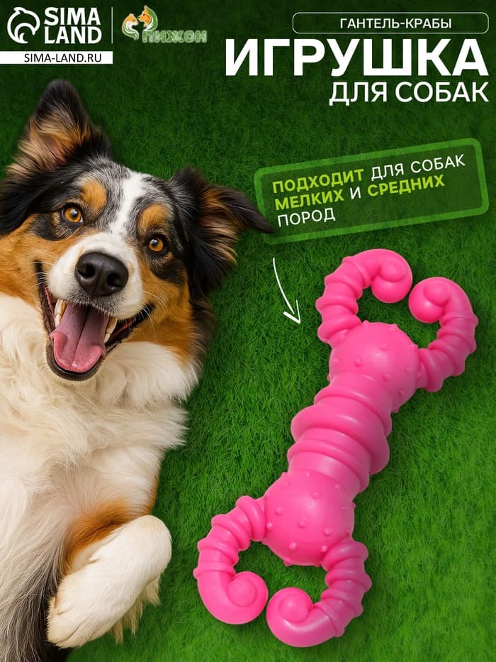 Игрушка для собак резиновая «Гантель-крабы», TPR, 11.5×2 см, розовая