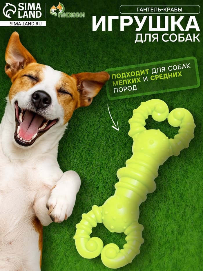Игрушка для собак резиновая «Гантель-крабы», TPR, 11.5×2 см, жёлтая