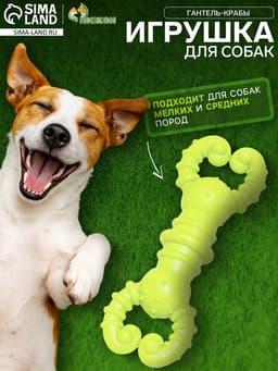 Игрушка для собак резиновая «Гантель-крабы», TPR, 11.5×2 см, жёлтая