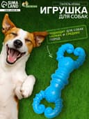 Игрушка для собак резиновая «Гантель-крабы», TPR, 11.5×2 см, голубая
