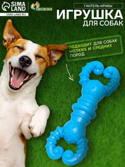 Игрушка для собак резиновая «Гантель-крабы», TPR, 11.5×2 см, голубая