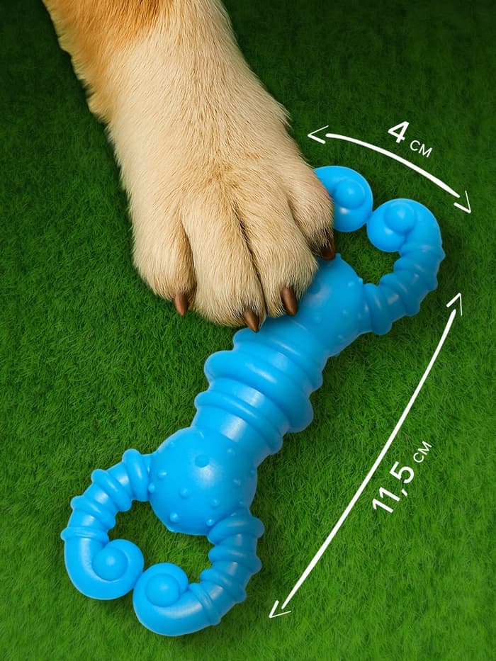 Игрушка для собак резиновая «Гантель-крабы», TPR, 11.5×2 см, голубая