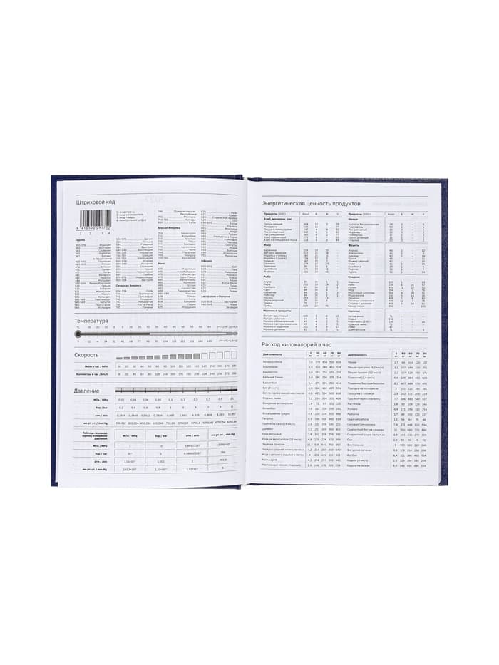 Ежедневник недатированный А5, 160 листов, обложка бумвинил, синий