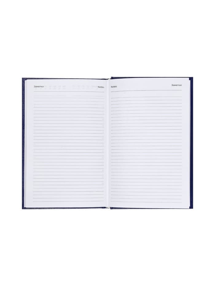 Ежедневник недатированный А5, 160 листов, обложка бумвинил, синий