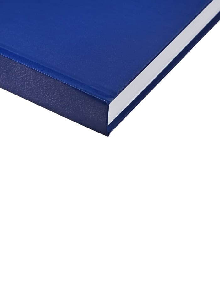 Ежедневник недатированный А5, 160 листов, обложка бумвинил, синий