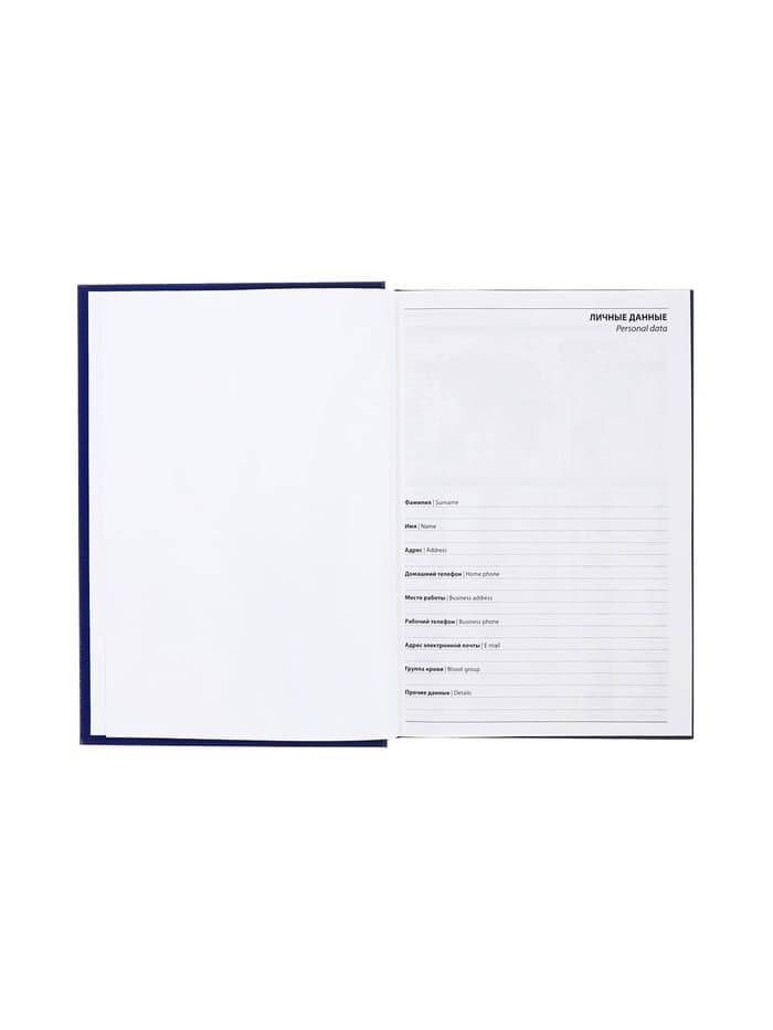 Ежедневник недатированный А5, 160 листов, обложка бумвинил, синий