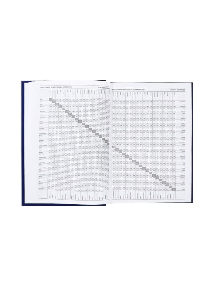 Ежедневник недатированный А5, 160 листов, обложка бумвинил, синий