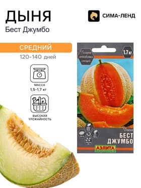 Семена Дыня «Бест Джумбо», 1 г, «Аэлита»