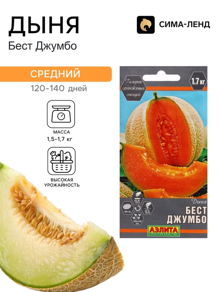 Семена Дыня «Бест Джумбо», 1 г, «Аэлита»