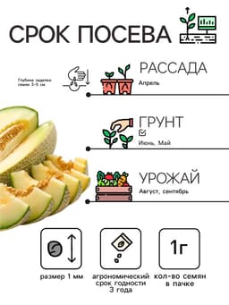 Семена Дыня «Бест Джумбо», 1 г, «Аэлита»