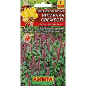 Семена Мята мексиканская «Янтарная свежесть», 0.05 г, многолетник, «Аэлита»