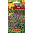 Семена Мята мексиканская «Янтарная свежесть», 0.05 г, многолетник, «Аэлита»