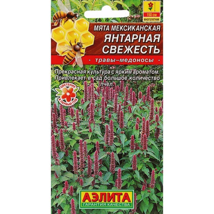 Семена Мята мексиканская «Янтарная свежесть», 0.05 г, многолетник, «Аэлита»