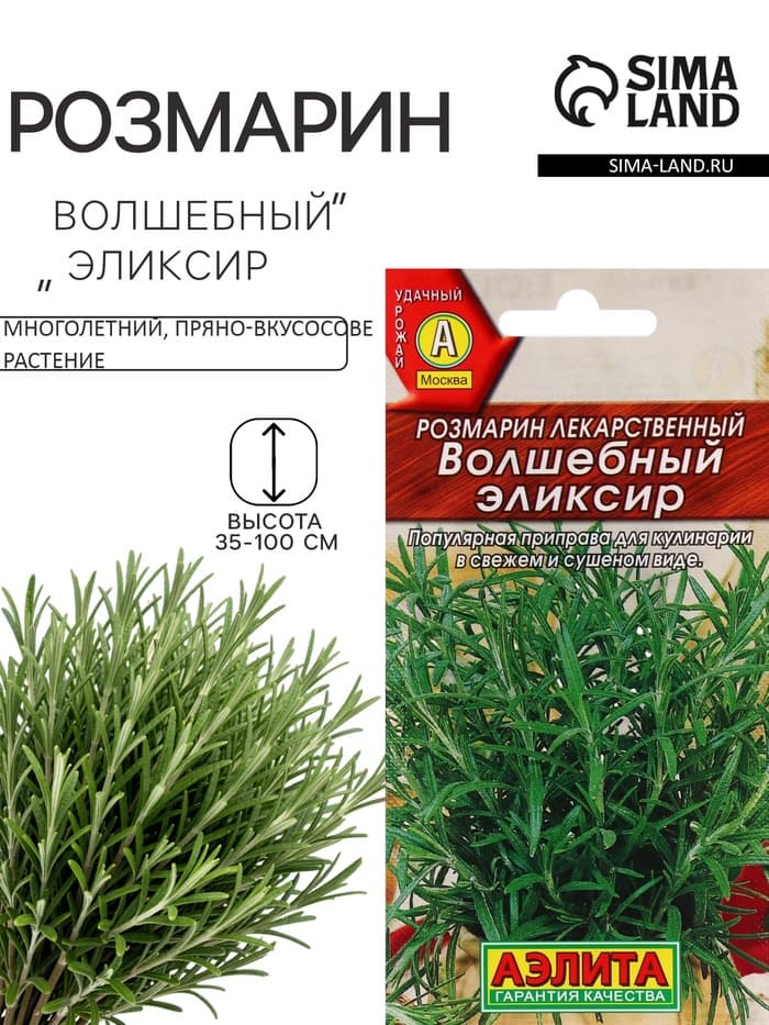 Семена Розмарин «Волшебный эликсир», 20 шт., «АЭЛИТА»