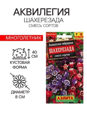 Семена цветов Аквилегия «Шахерезада», 0.1 г, «АЭЛИТА»