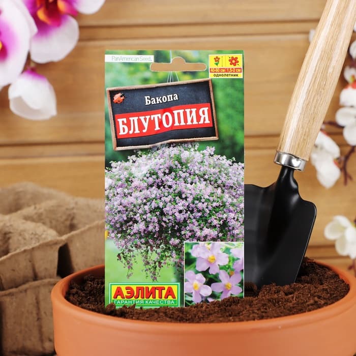 Семена Цветов Бакопа «Блутопия», однолетник, 3 шт., «АЭЛИТА»