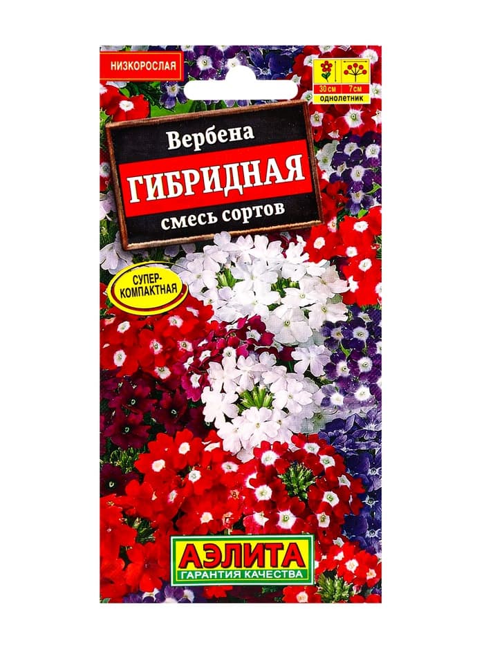 Семена цветов Вербена «Гибридная», смесь сортов, 0.1 г, 20 шт.