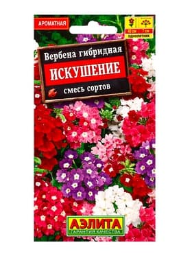 Семена Цветов Вербена «Искушение», смесь сортов, 0.1 г, «АЭЛИТА»