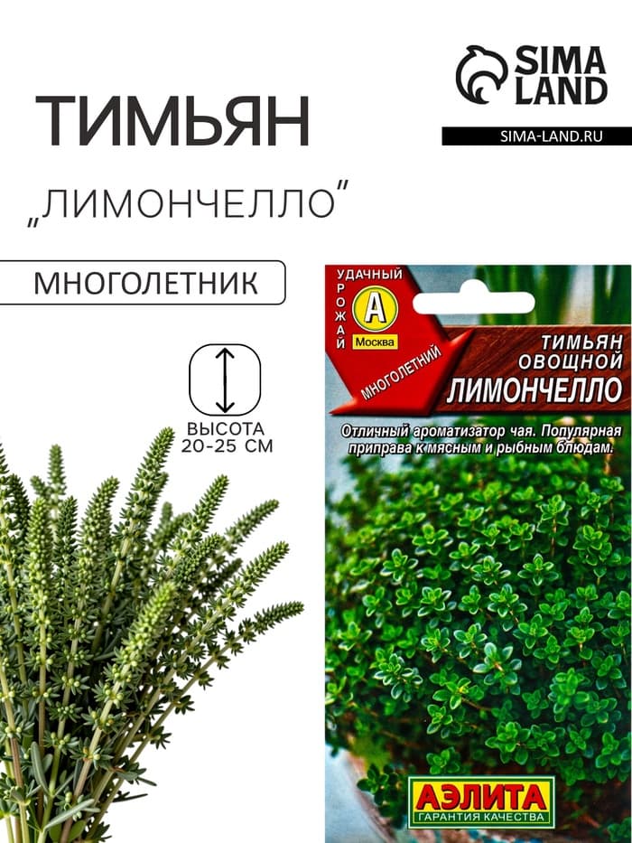 Семена Тимьян овощной «Лимончелло», 0.2 г, «АЭЛИТА»