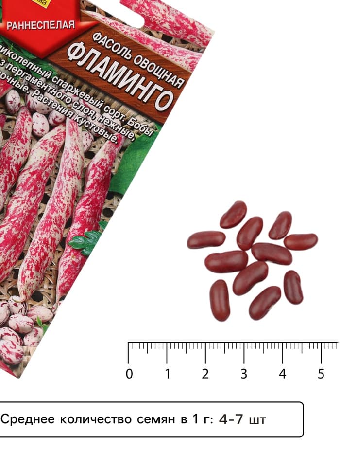 Семена Фасоль овощная «Фламинго», 5 г, «АЭЛИТА»