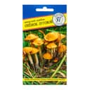 Семена Мицелий грибов «Опёнок луговой,» 12 палочек, «Престиж семена»