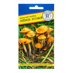 Семена Мицелий грибов «Опёнок луговой,» 12 палочек, «Престиж семена»