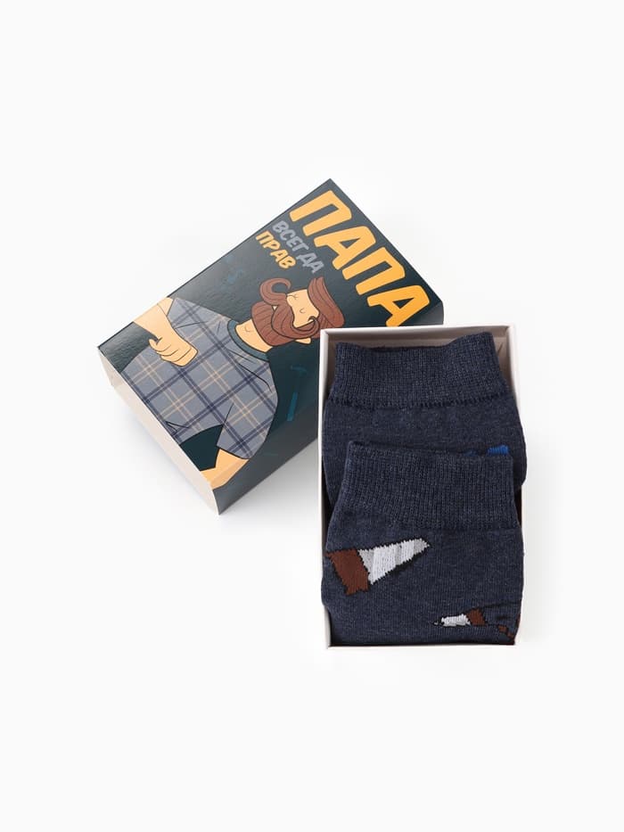 Носки мужские «Папа может», набор 2 пары, размер 41-44 (27-29 см)