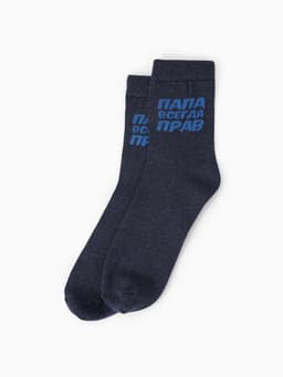 Носки мужские «Папа может», набор 2 пары, размер 41-44 (27-29 см)