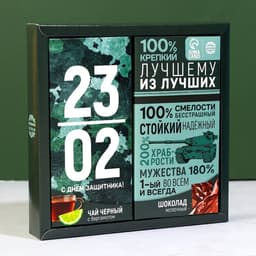 Подарочный набор «23 февраля», чай (50 г), молочный шоколад (70 г)