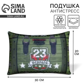 Подушка декоративная антистресс «23 февраля», 30×20 см
