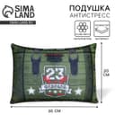 Подушка декоративная антистресс «23 февраля», 30×20 см