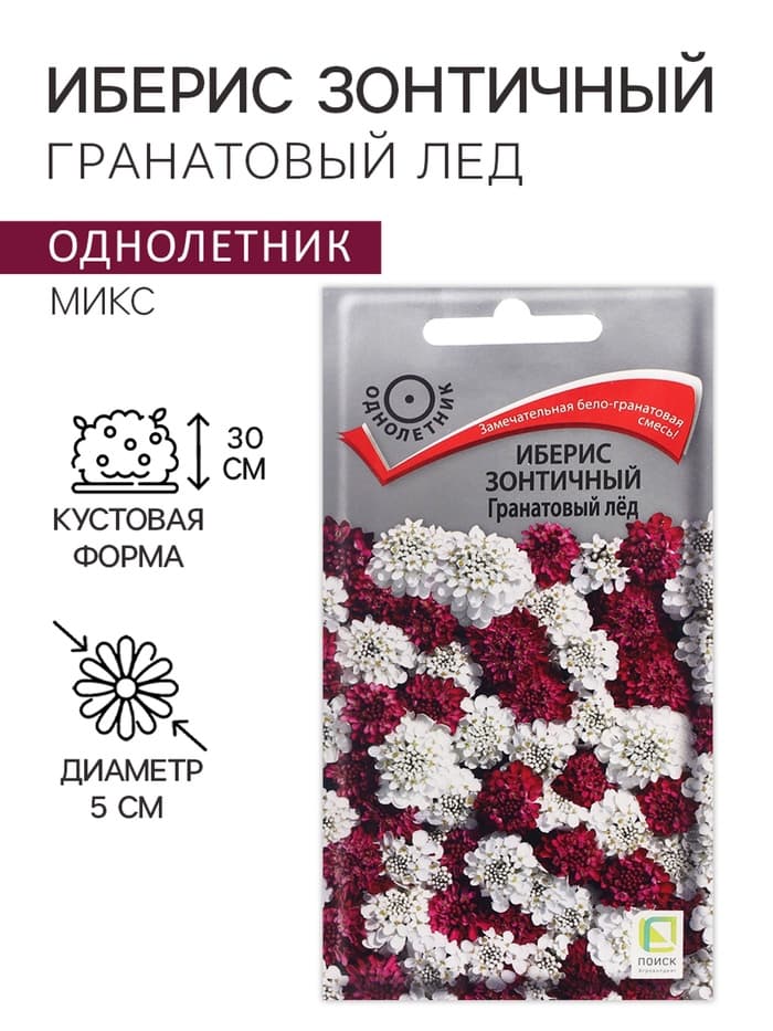 Семена Цветов Иберис зонтичный «Гранатовый лед», 0.1 г, «ПОИСК»