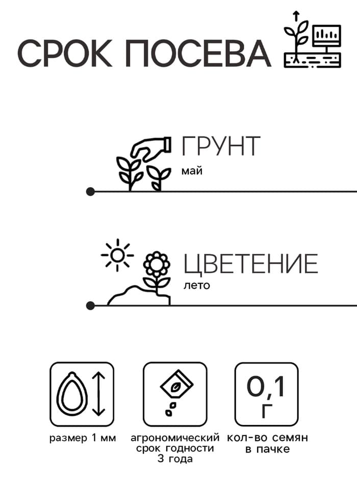 Семена Цветов Иберис зонтичный «Гранатовый лед», 0.1 г, «ПОИСК»